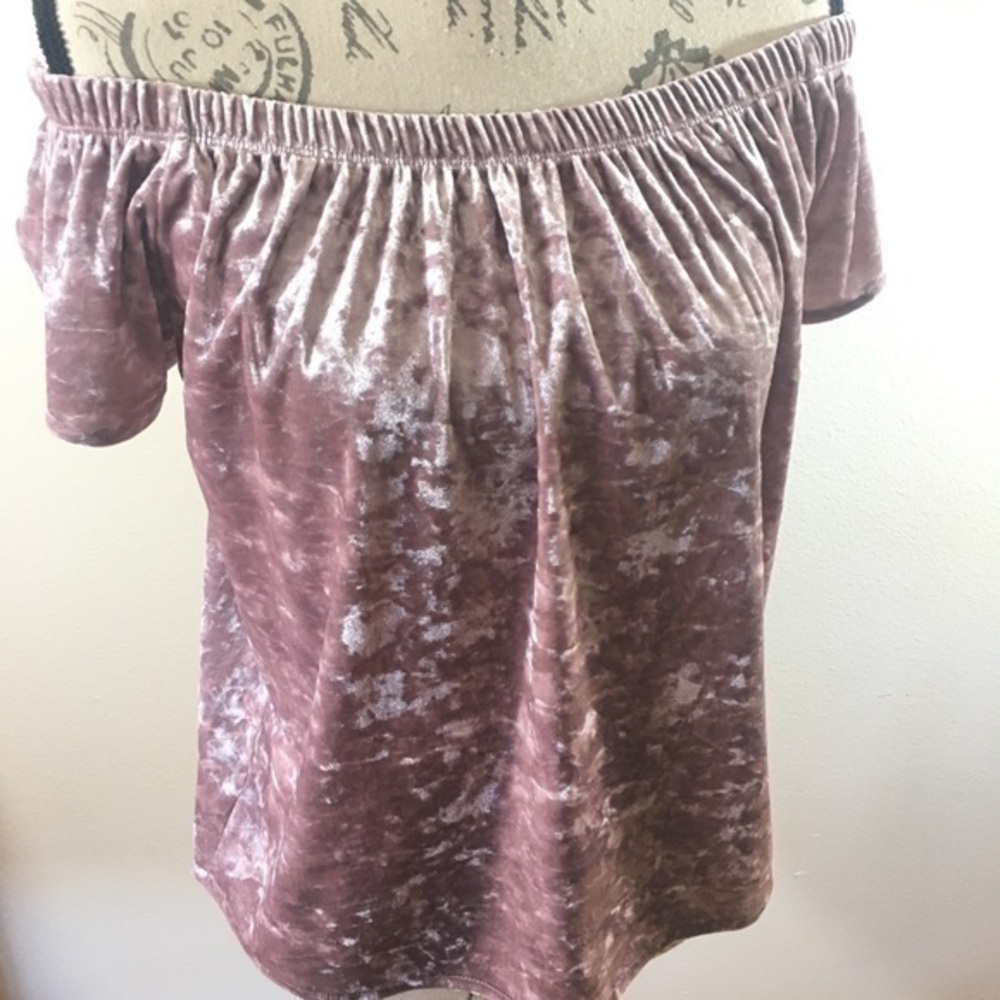 NWT HIPPIE ROSE CRUSHED MAUVE VELVET TOP